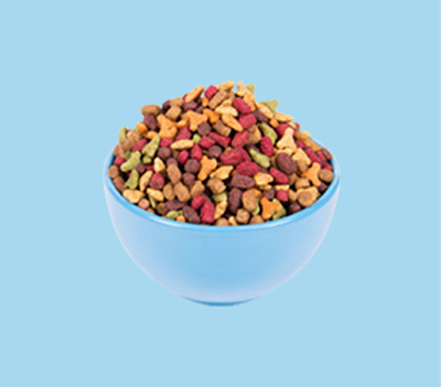 女士时装及配饰